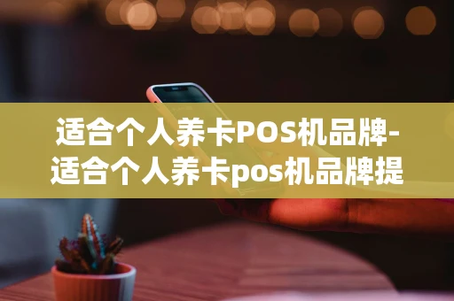 重庆适合个人养卡POS机品牌-适合个人养卡pos机品牌提额简单-第1张图片-点点富足 重庆适合个人养卡POS机品牌-适合个人养卡pos机品牌提额简单-第1张图片-点点富足