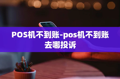 重庆POS机不到账-pos机不到账去哪投诉-第1张图片-点点富足