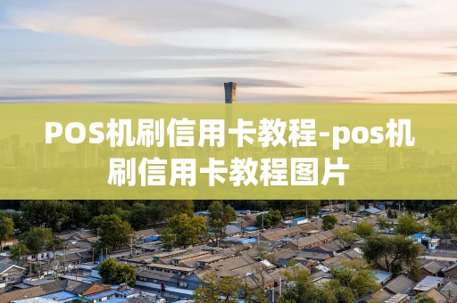 重庆POS机刷信用卡教程-pos机刷信用卡教程图片-第1张图片-点点富足