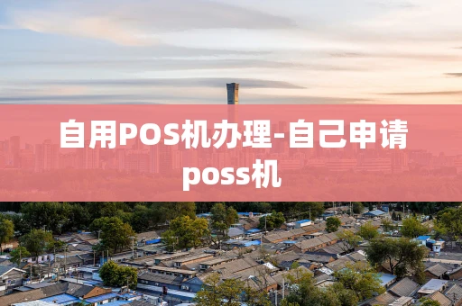 重庆自用POS机办理-自己申请poss机-第1张图片-点点富足