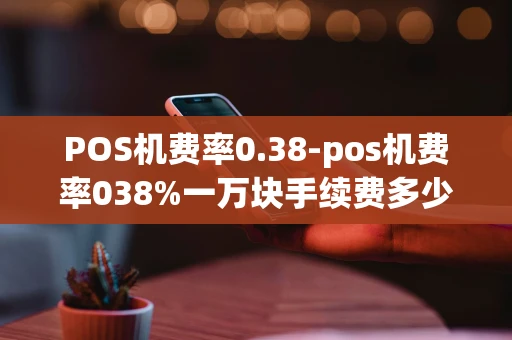 重庆POS机费率0.38-pos机费率038%一万块手续费多少-第1张图片-点点富足