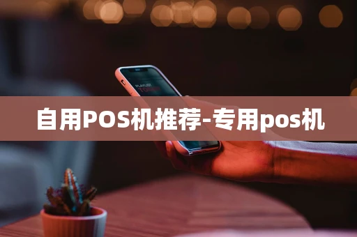 重庆自用POS机推荐-专用pos机-第1张图片-点点富足