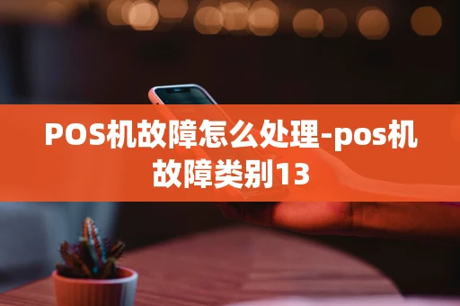 重庆POS机故障怎么处理-pos机故障类别13-第1张图片-点点富足