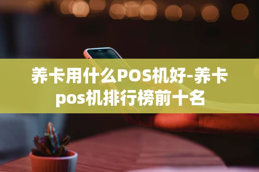 重庆养卡用什么POS机好-养卡pos机排行榜前十名-第1张图片-点点富足